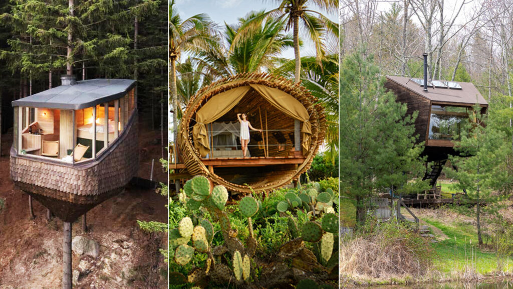 best treehouses in the world