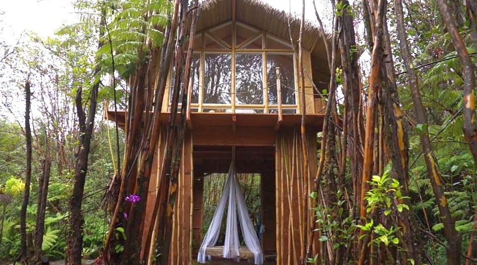 Tropical Treehouse Rental, Hawaii