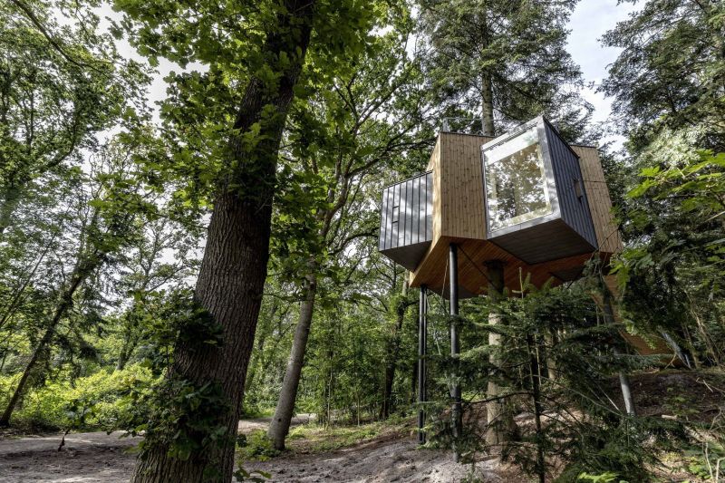 Løvtag Treetop Cabin in Denmark