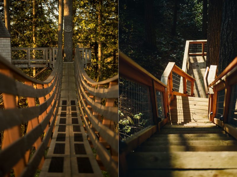 Nelson Treehouse Staircase in Oregon