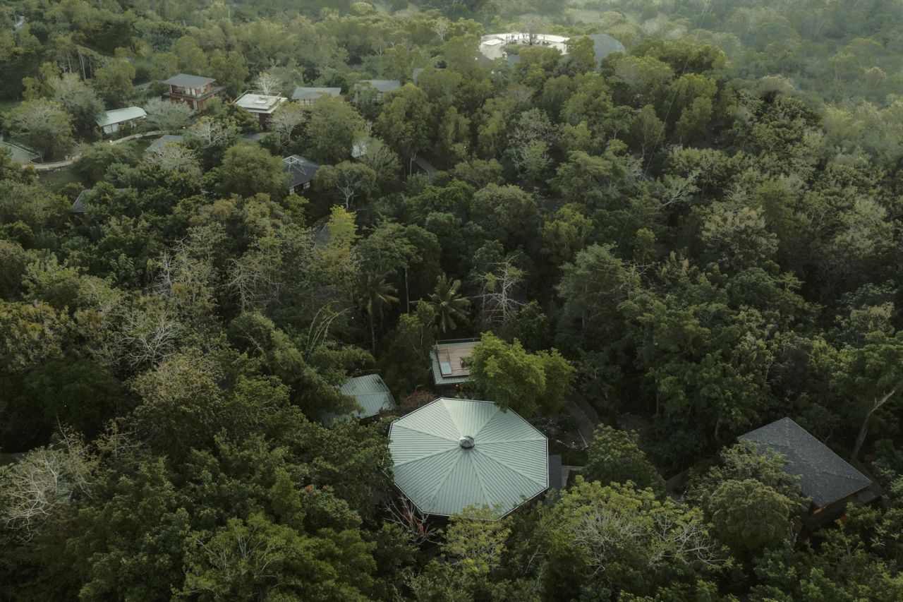Octagon Treehouse Restaurant Aims Reconnection With Nature