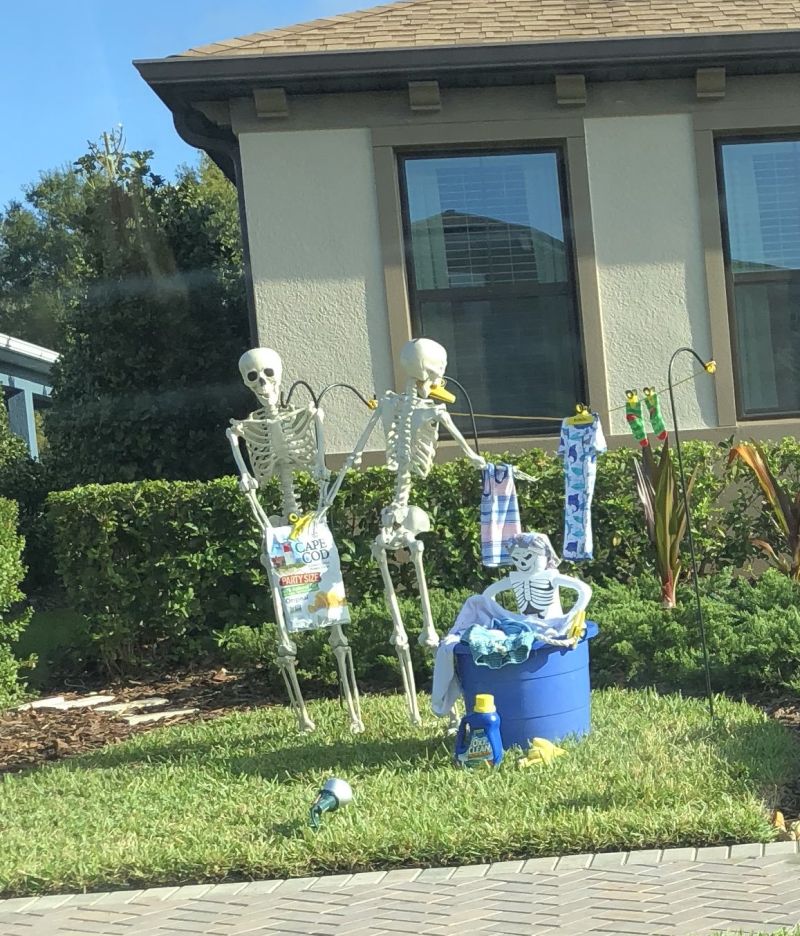 Skeleton family Halloween display