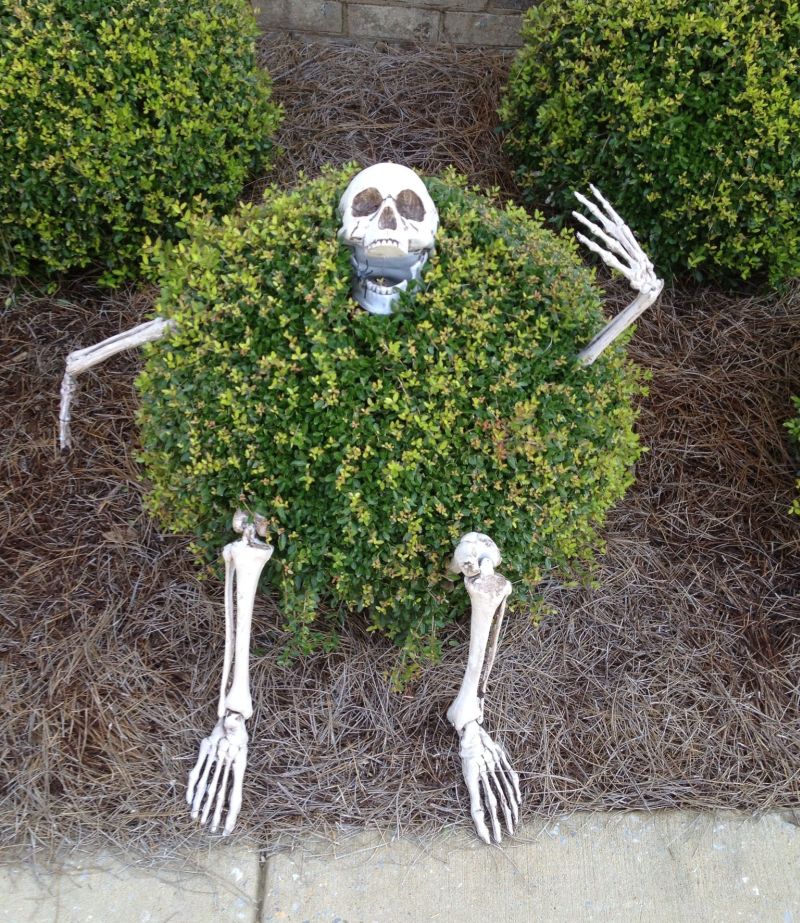 Skeleton hiding in bushes