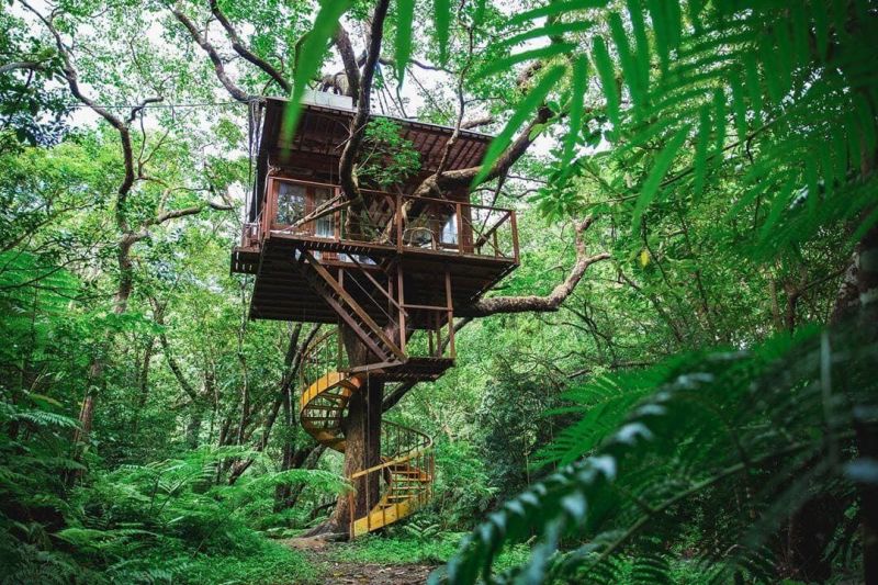 Spiral Treehouse EcoResort in Okinawa, Japan