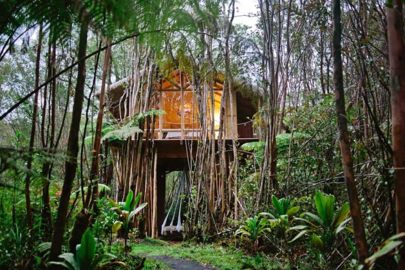 Tropical treehouse airbnb rental in Hawaii 