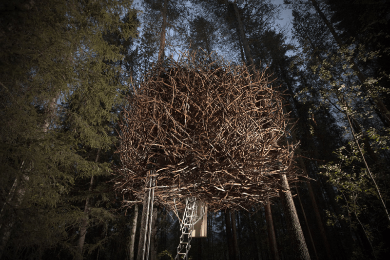 Bird’s Nest at Treehotel in Harads, Sweden